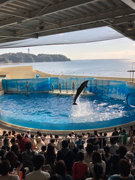 新江ノ島水族館に投稿された画像（2024/10/14）