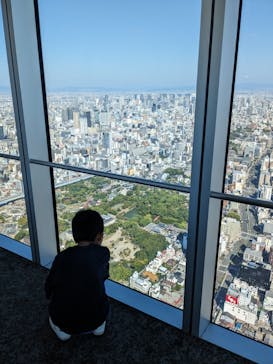 ハルカス300(展望台)に投稿された画像（2024/10/14）