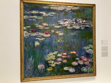 モネ 睡蓮のとき（国立西洋美術館）に投稿された画像（2024/10/14）