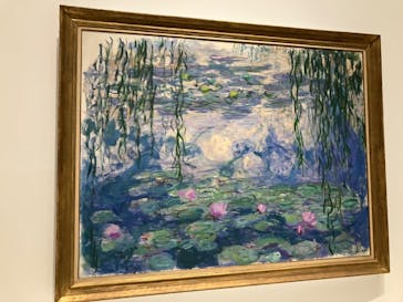 モネ 睡蓮のとき（国立西洋美術館）に投稿された画像（2024/10/14）