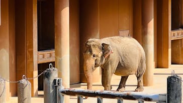 名古屋市東山動植物園に投稿された画像（2024/10/14）