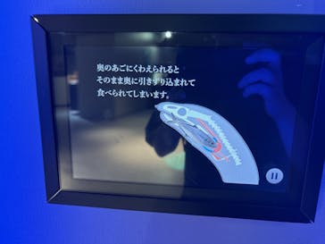 スマートアクアリウム静岡に投稿された画像（2024/10/14）