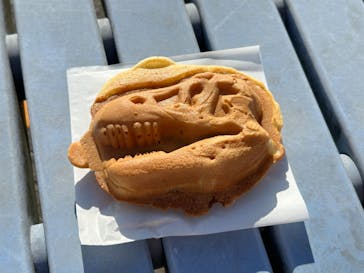 福井県立恐竜博物館に投稿された画像（2024/10/14）