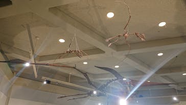 岐阜県博物館に投稿された画像（2024/10/14）