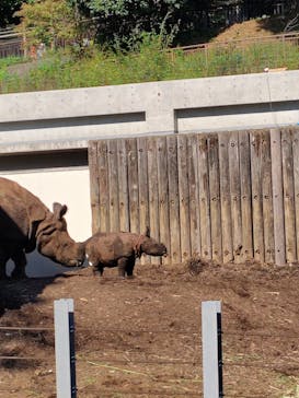 多摩動物公園に投稿された画像（2024/10/14）