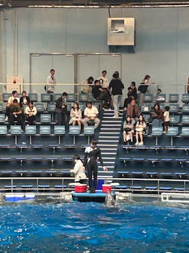 マクセル アクアパーク品川に投稿された画像（2024/10/14）