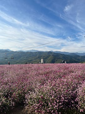 ひるがのピクニックガーデンに投稿された画像（2024/10/14）