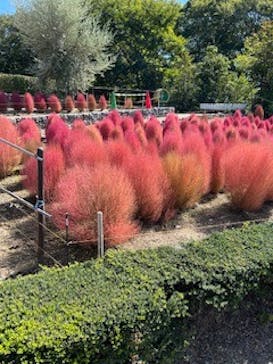 野外民族博物館 リトルワールドに投稿された画像（2024/10/14）