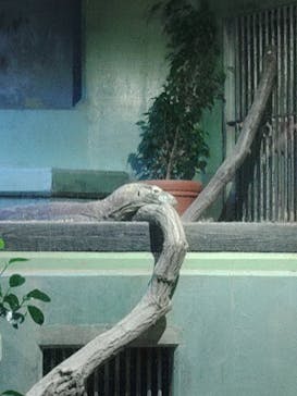 名古屋市東山動植物園に投稿された画像（2024/10/14）