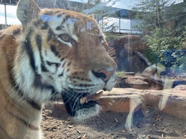 那須どうぶつ王国に投稿された画像（2024/10/14）