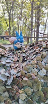 那須テディベア・ミュージアムに投稿された画像（2024/10/14）