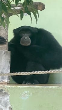 名古屋市東山動植物園に投稿された画像（2024/10/14）