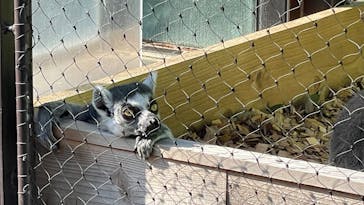 名古屋市東山動植物園に投稿された画像（2024/10/14）