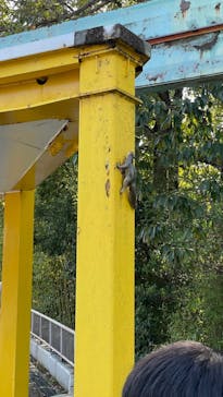 名古屋市東山動植物園に投稿された画像（2024/10/14）