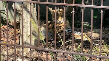 名古屋市東山動植物園に投稿された画像（2024/10/14）