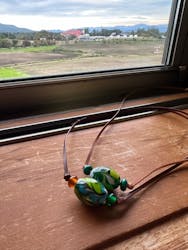 ガラス工房とよもとに投稿された画像（2024/10/14）