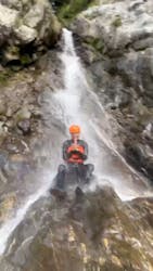 Wasshoi Entertainment （ワッショイ　エンターテイメント）に投稿された画像（2024/10/14）