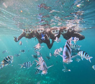 青の洞窟専門店　沖縄ダイビングショップ和に投稿された画像（2024/10/14）