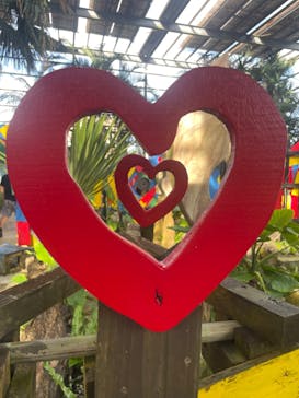 OKINAWAフルーツらんどに投稿された画像（2024/10/14）