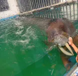 ゼロ距離水族館 伊勢シーパラダイスに投稿された画像（2024/10/14）