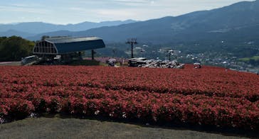 ひるがのピクニックガーデンに投稿された画像（2024/10/14）