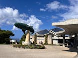 沖縄美ら海水族館に投稿された画像（2024/10/14）