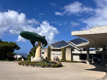 沖縄美ら海水族館に投稿された画像（2024/10/14）
