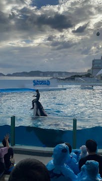 鴨川シーワールドに投稿された画像（2024/10/14）