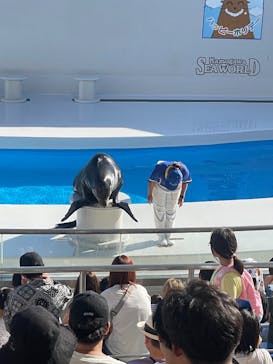 鴨川シーワールドに投稿された画像（2024/10/14）
