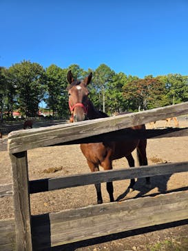 ノーザンホースパークに投稿された画像（2024/10/14）