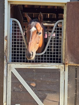 ノーザンホースパークに投稿された画像（2024/10/14）