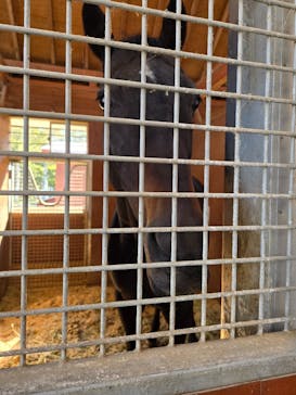 ノーザンホースパークに投稿された画像（2024/10/14）