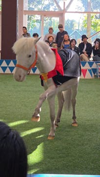 ノーザンホースパークに投稿された画像（2024/10/14）