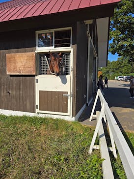 ノーザンホースパークに投稿された画像（2024/10/14）