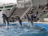 仙台うみの杜水族館に投稿された画像（2024/10/14）