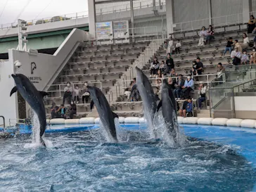 仙台うみの杜水族館に投稿された画像（2024/10/14）