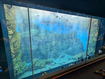 仙台うみの杜水族館に投稿された画像（2024/10/14）