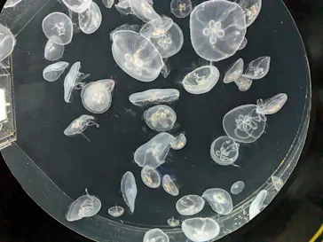 仙台うみの杜水族館に投稿された画像（2024/10/14）