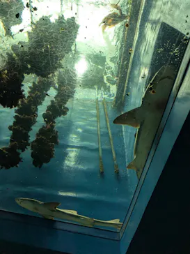 仙台うみの杜水族館に投稿された画像（2024/10/14）