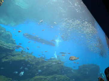仙台うみの杜水族館に投稿された画像（2024/10/14）