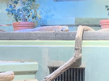 名古屋市東山動植物園に投稿された画像（2024/10/14）