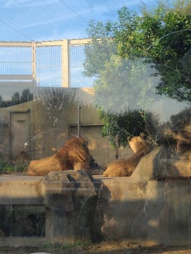 東武動物公園に投稿された画像（2024/10/14）