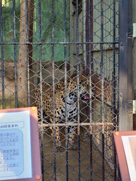 東武動物公園に投稿された画像（2024/10/14）