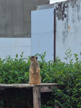 東武動物公園に投稿された画像（2024/10/14）