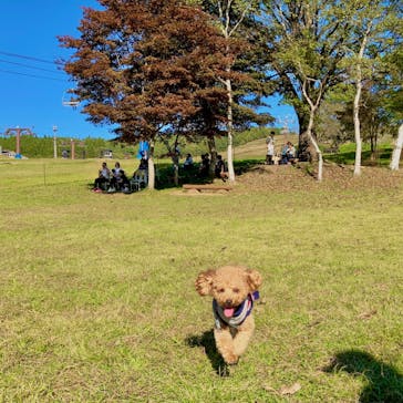 ひるがのピクニックガーデンに投稿された画像（2024/10/14）