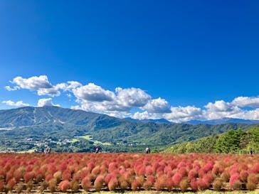 ひるがのピクニックガーデンに投稿された画像（2024/10/14）