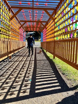 ひるがのピクニックガーデンに投稿された画像（2024/10/14）