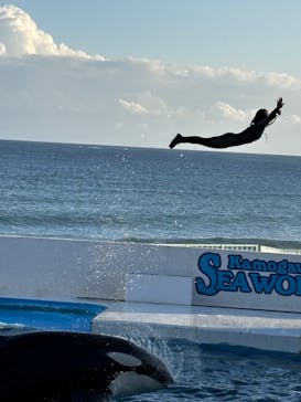 鴨川シーワールドに投稿された画像（2024/10/14）