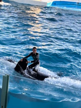 鴨川シーワールドに投稿された画像（2024/10/14）
