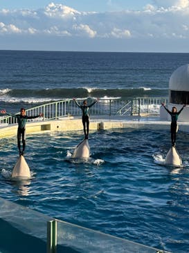 鴨川シーワールドに投稿された画像（2024/10/14）